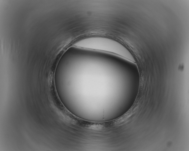 X0000095930168200801110927