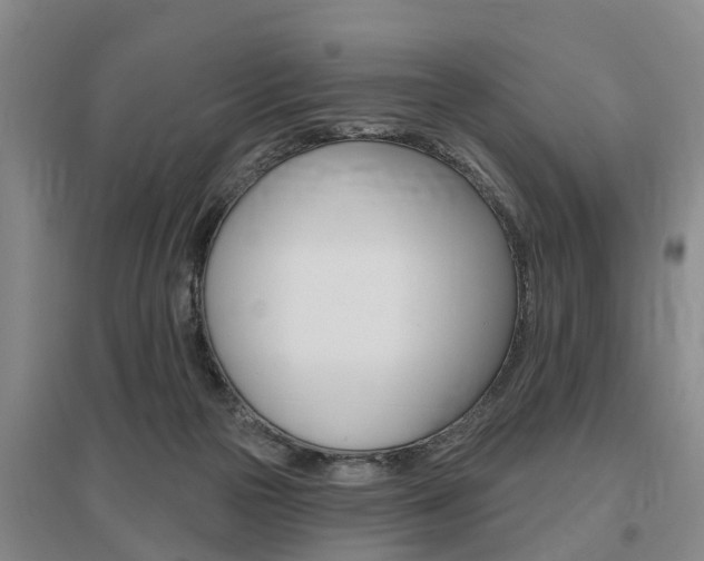 X0000095930169200801110927