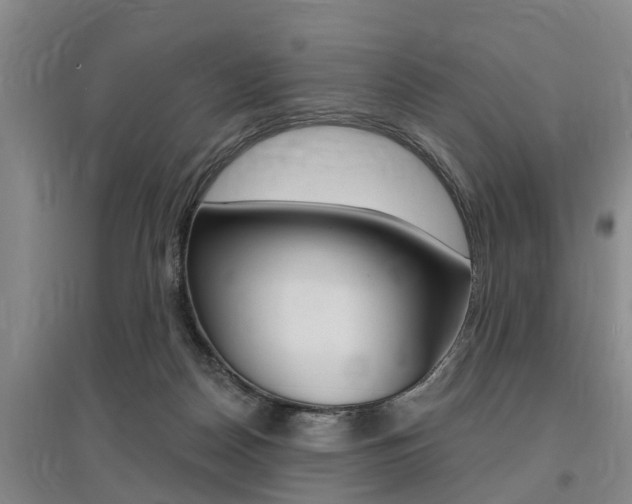 X0000095930170200801110927