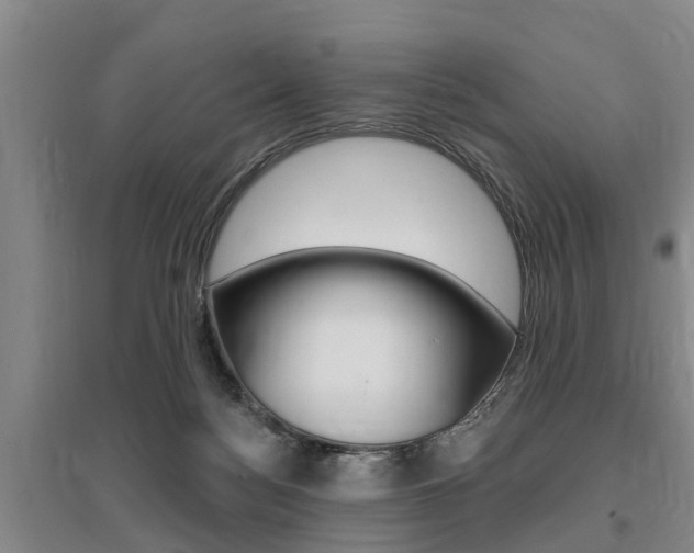 X0000095930172200801110927
