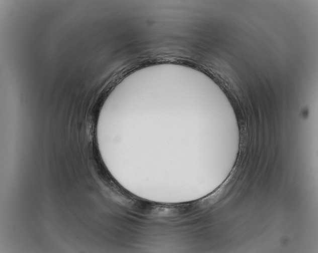 X0000095930174200801110927