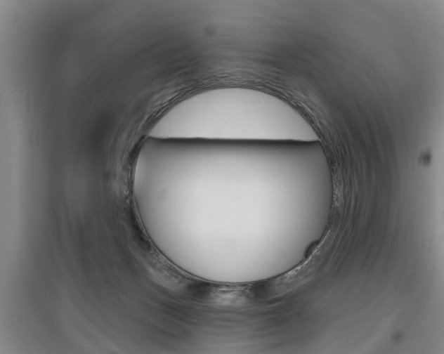 X0000095930175200801110927