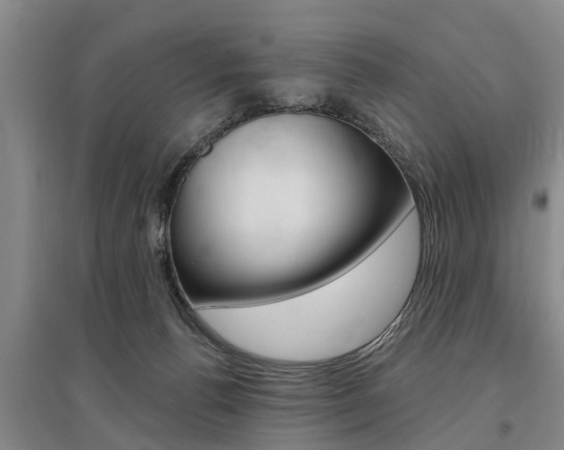 X0000095930176200801110927