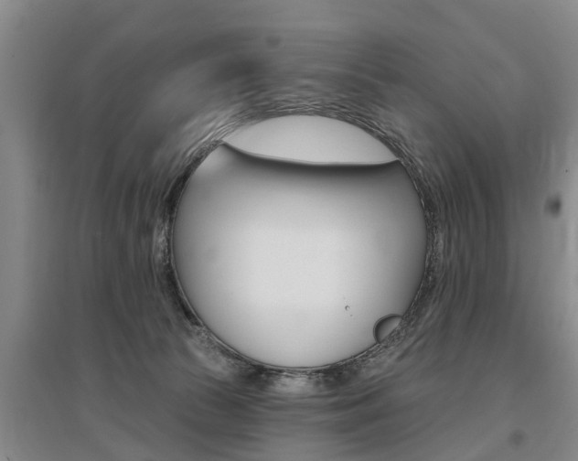 X0000095930177200801110927