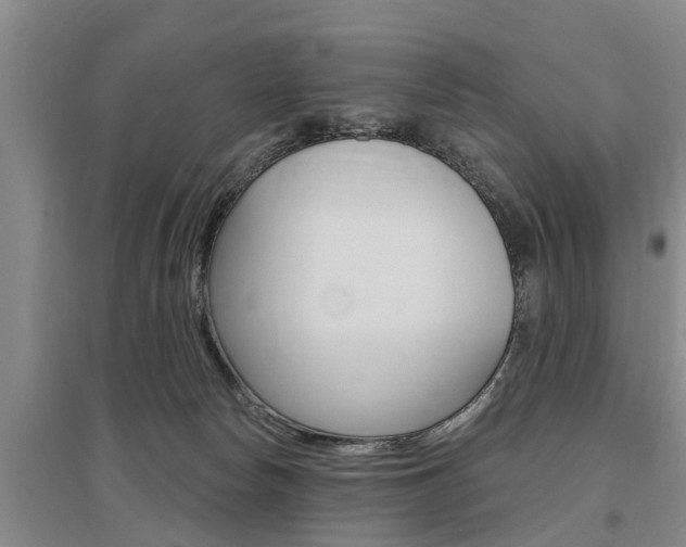 X0000095930178200801110927