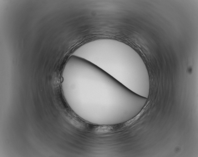 X0000095930179200801110928