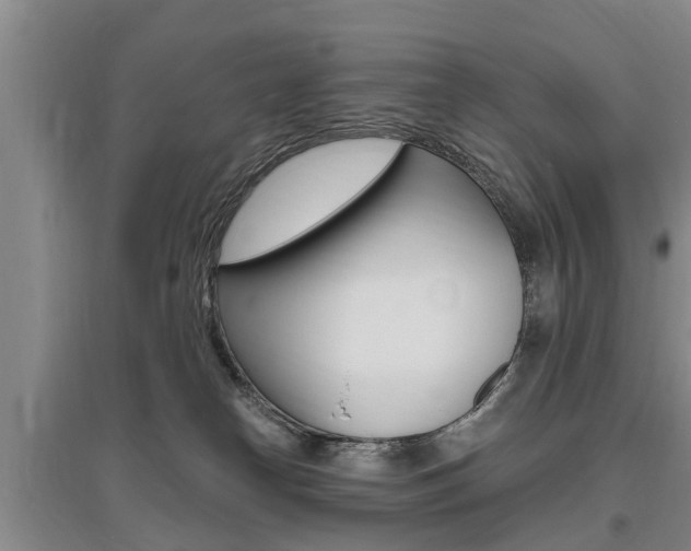 X0000095930182200801110928