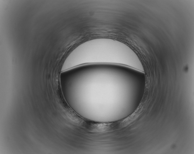 X0000095930184200801110928