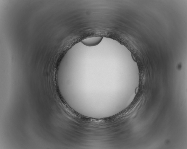 X0000095930185200801110928