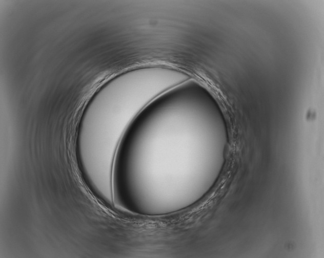 X0000095930193200801110927