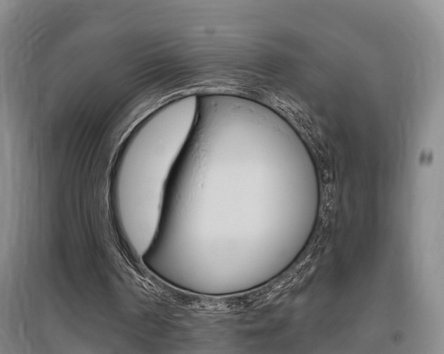 X0000095930194200801110927