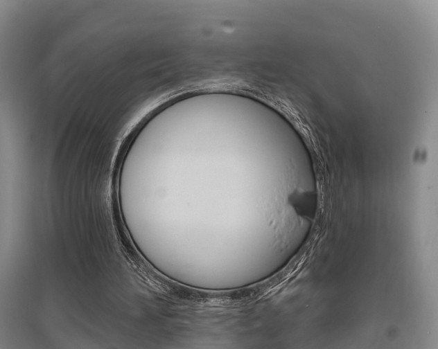 X0000095930196200801110927