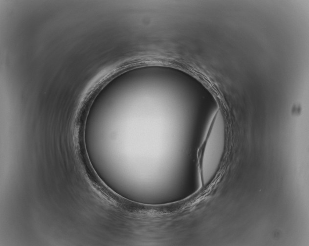 X0000095930197200801110927