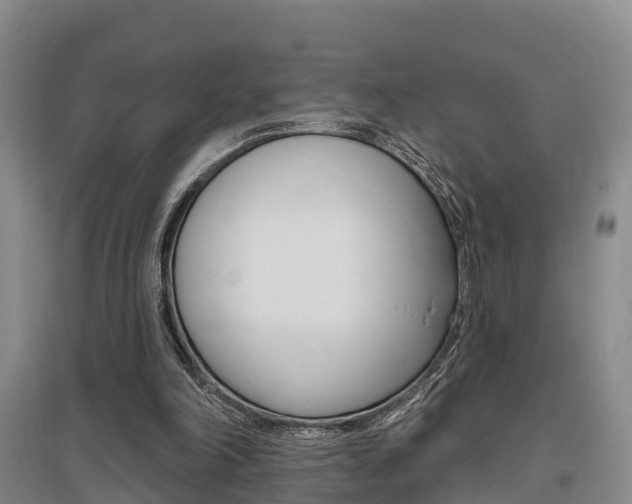 X0000095930198200801110927