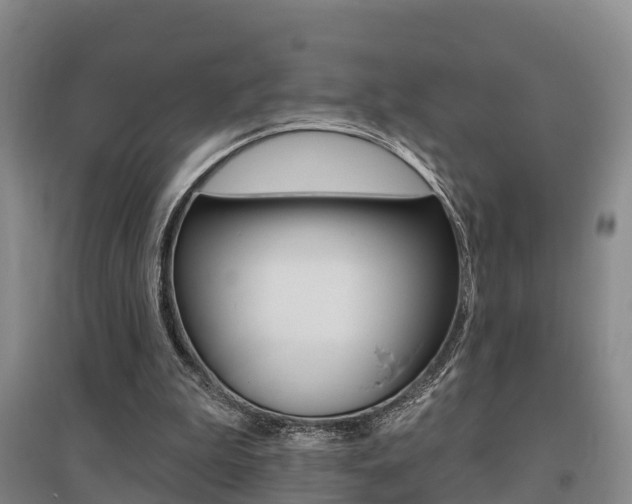 X0000095930199200801110927