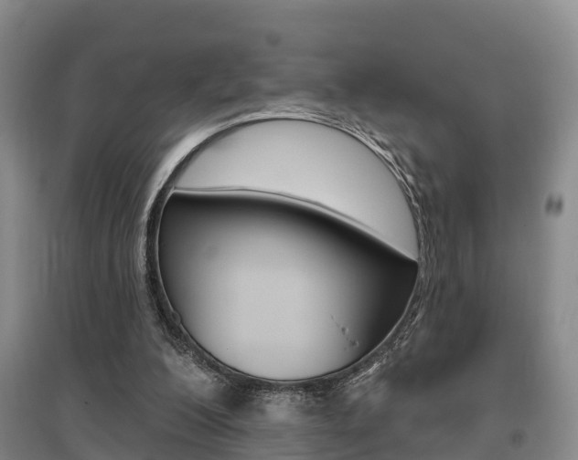 X0000095930200200801110927