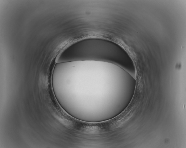 X0000095930203200801110927