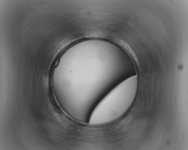 X0000095930204200801110927