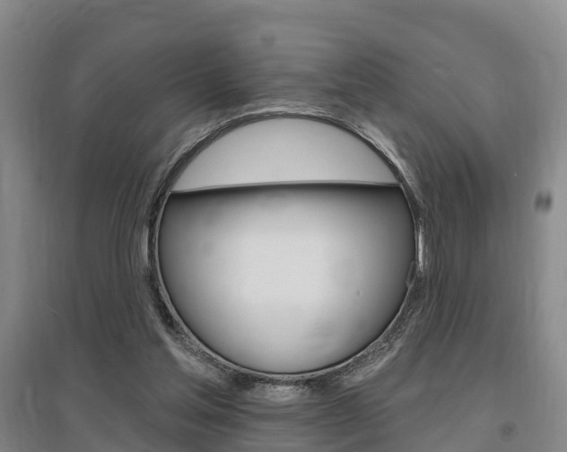 X0000095930205200801110927