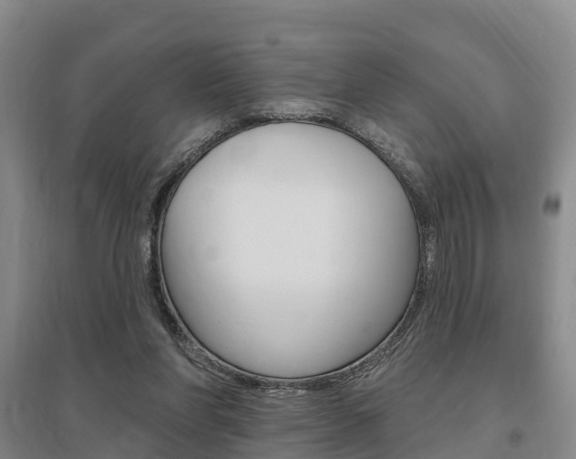X0000095930206200801110927