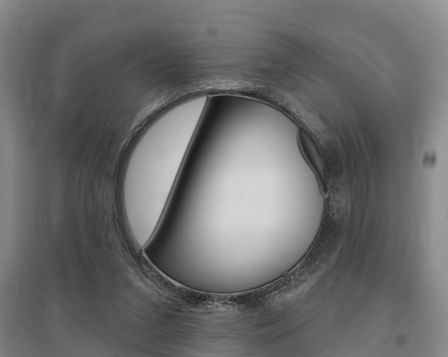 X0000095930207200801110927