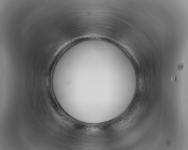 X0000095930208200801110927