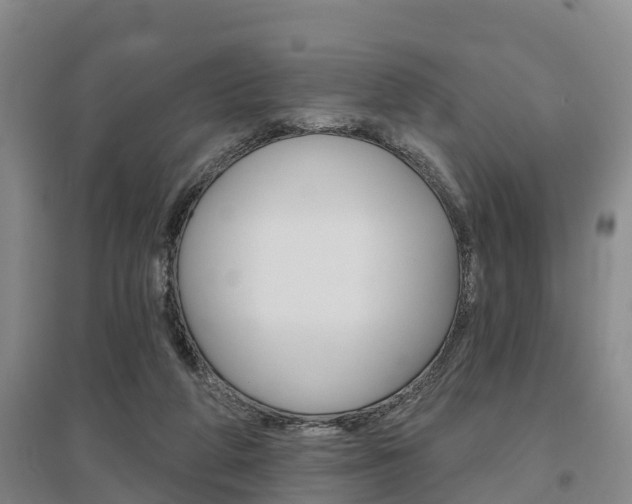 X0000095930210200801110927