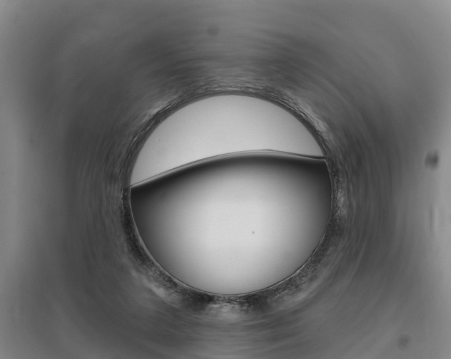 X0000095930211200801110927