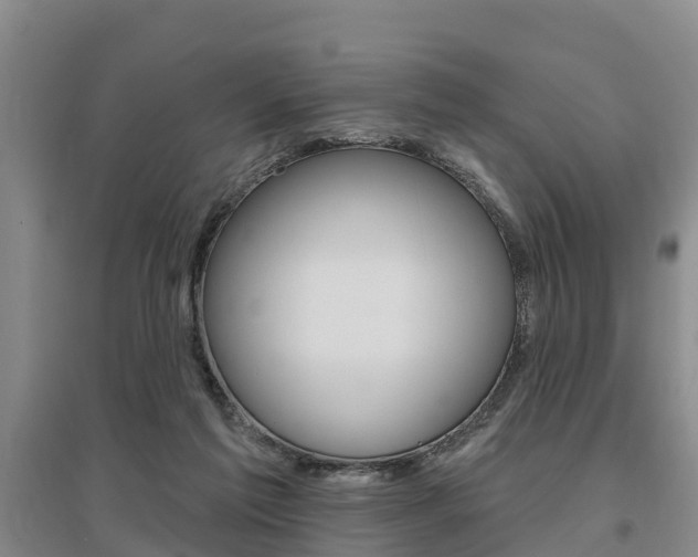 X0000095930213200801110927