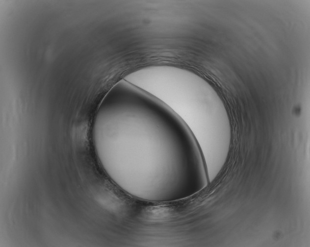X0000095930219200801110927