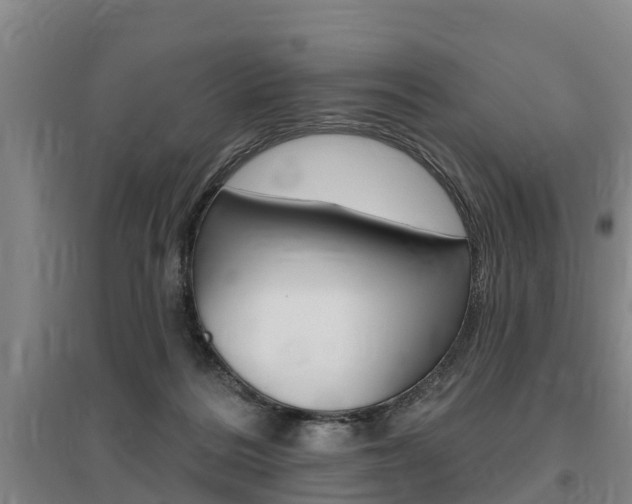 X0000095930220200801110926