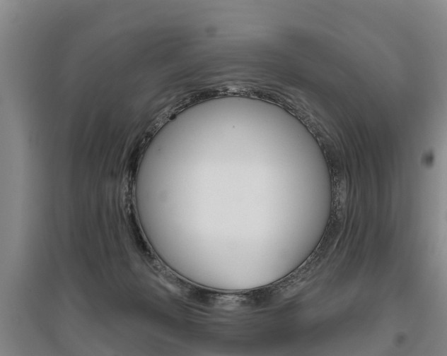 X0000095930222200801110926