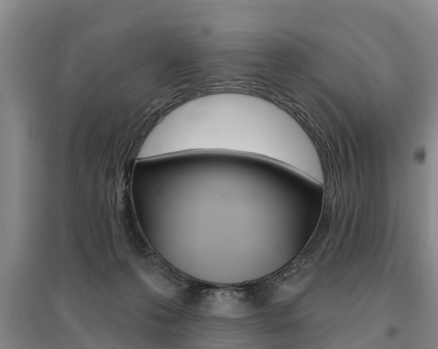 X0000095930223200801110926