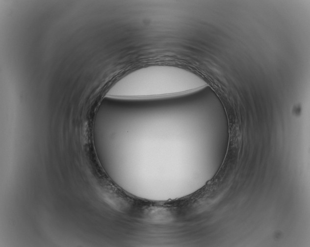X0000095930224200801110926