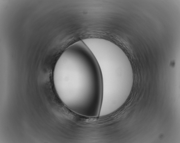 X0000095930225200801110926