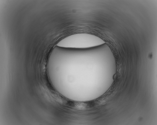 X0000095930226200801110926