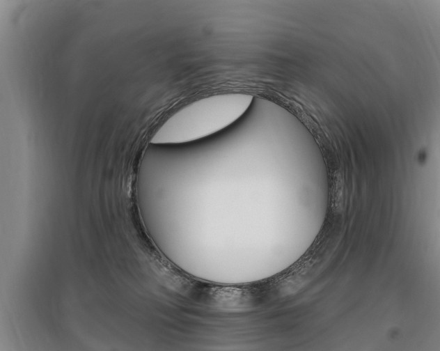X0000095930230200801110926