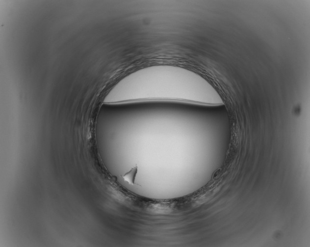 X0000095930232200801110926