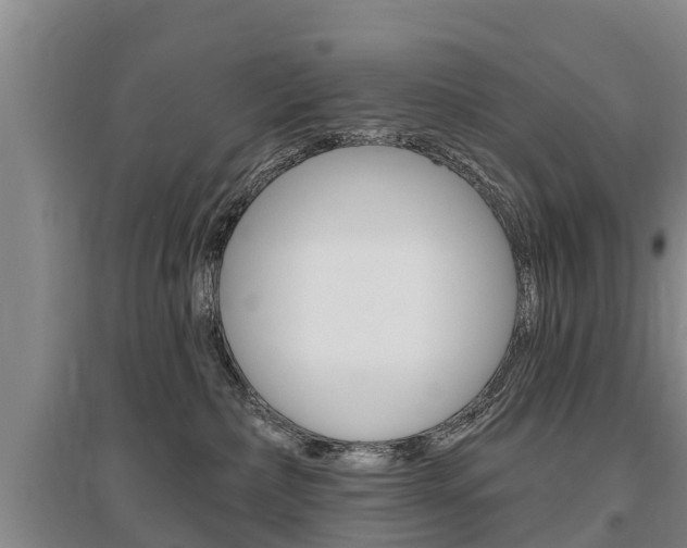 X0000095930236200801110926