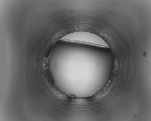 X0000095930237200801110926