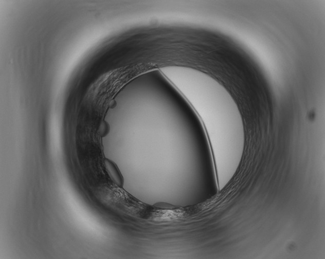 X0000095930239200801110926