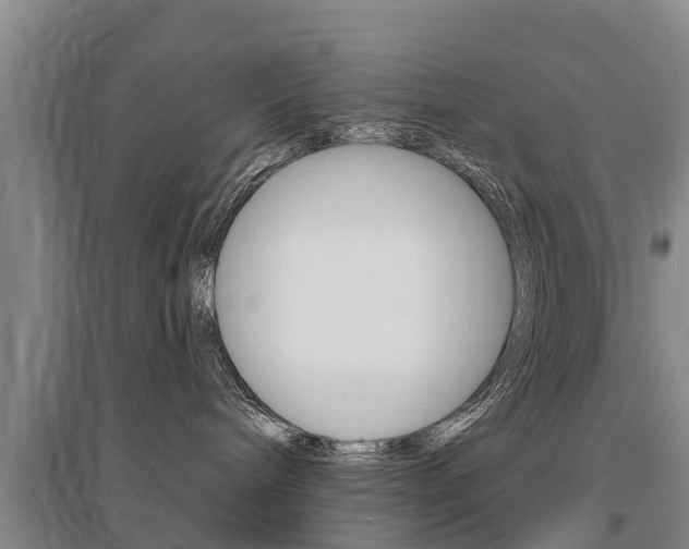 X0000095930240200801110926
