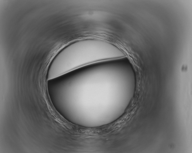 X0000095930241200801110926