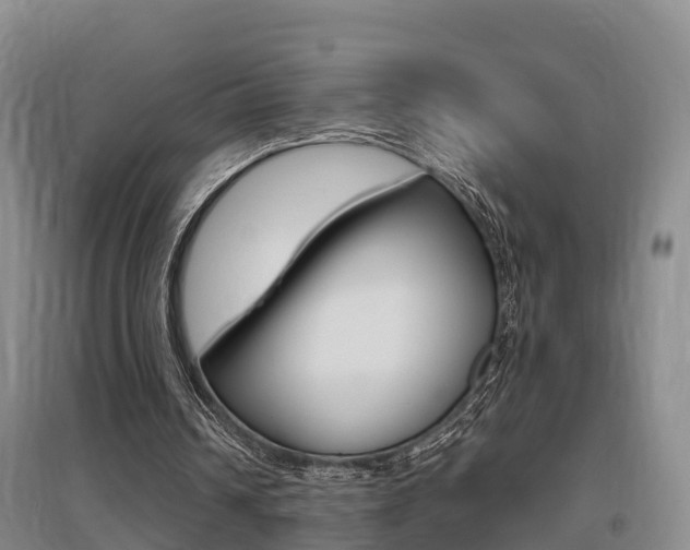 X0000095930242200801110926