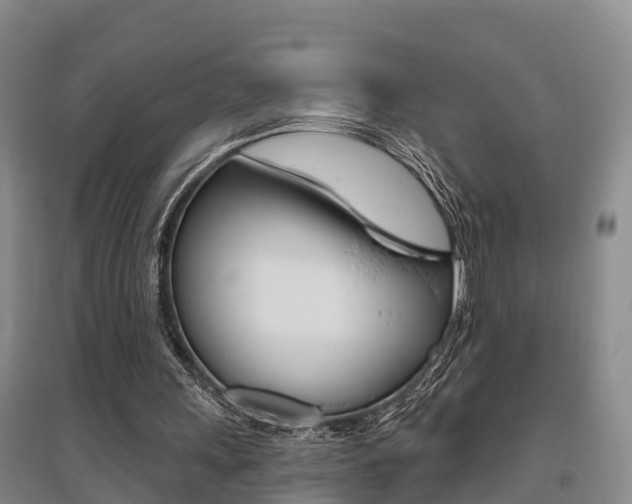 X0000095930243200801110926