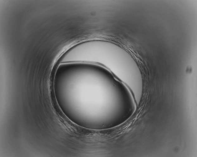 X0000095930244200801110926