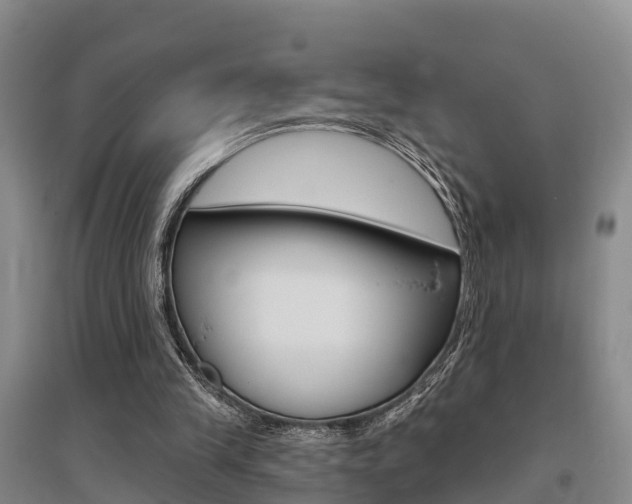 X0000095930245200801110926