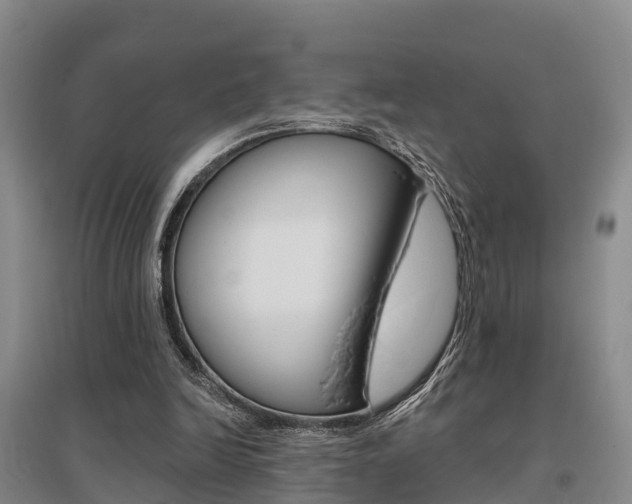 X0000095930246200801110926