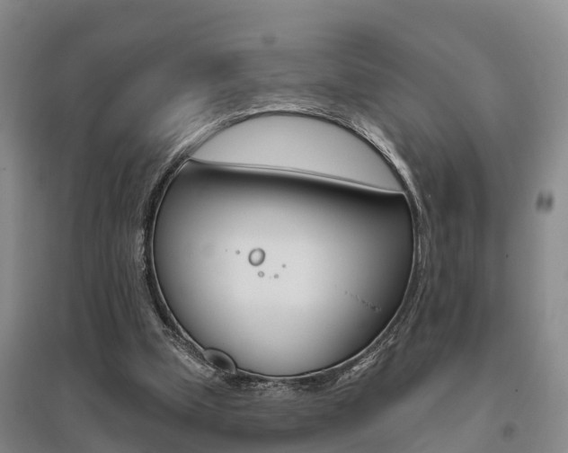 X0000095930249200801110926