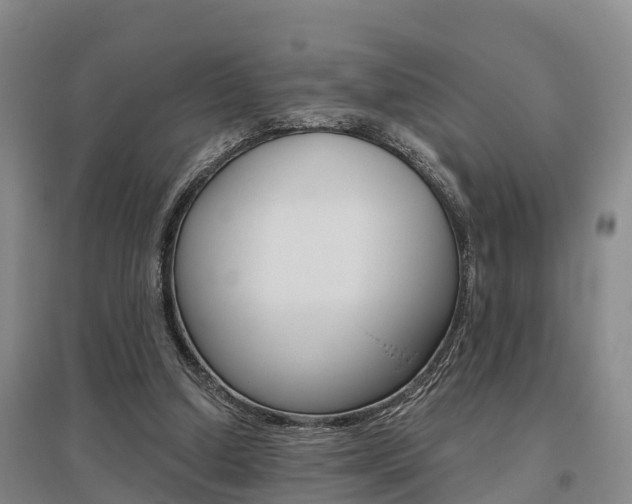 X0000095930250200801110926